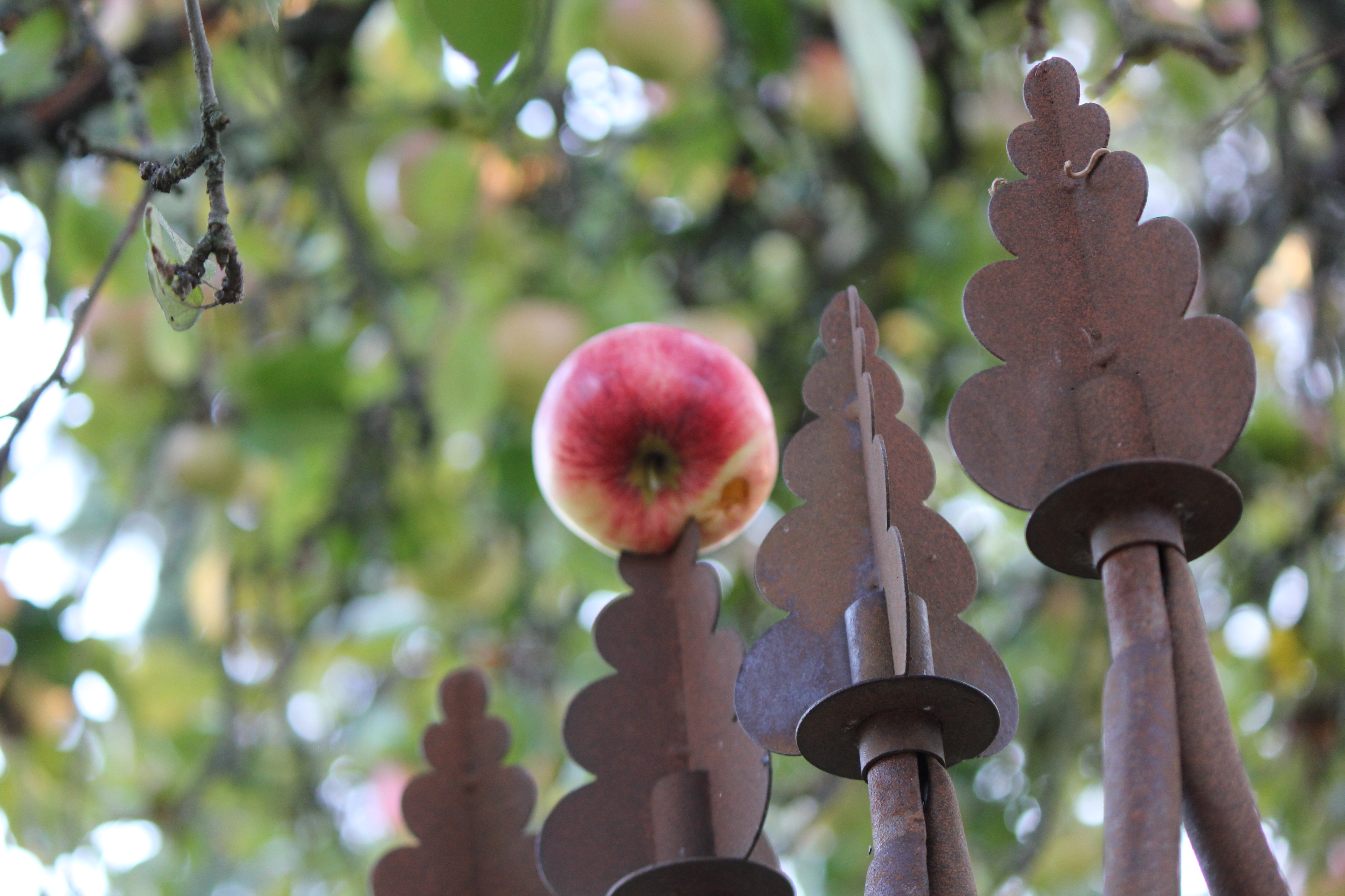 Source: https://cc0.photo/2021/10/06/apple-impaled-on-a-fence-crown/